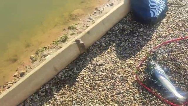 WhatsApp Video 2025-04-14 at 10.01.00 смотреть онлайн