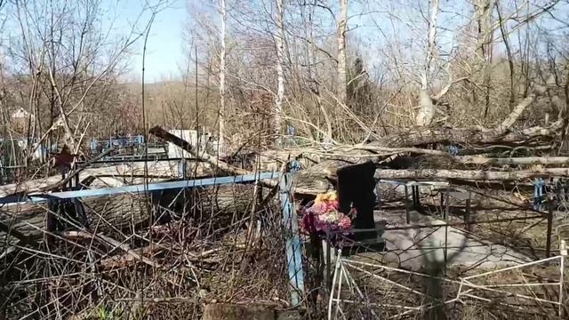 Тополя на кладбище в Змеиногорске смотреть онлайн