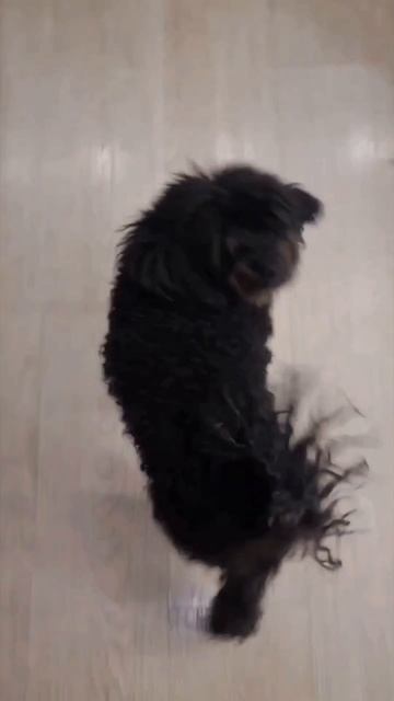 а что выберете вы?🤣