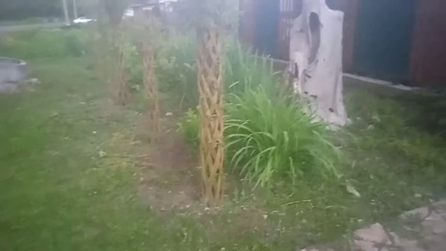 Розовый закат, на ночь не смотреть. смотреть онлайн
