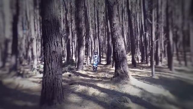 3DR Solo смотреть онлайн