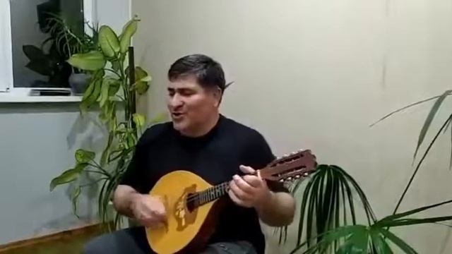 Далгат омаров смотреть онлайн