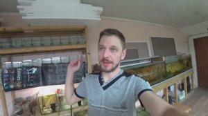 Просто работа на разводне. То то, то сё. Будни Аквариумиста.
