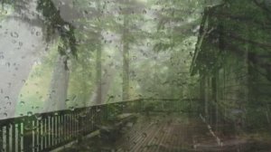 Шум дождя, звучание природы