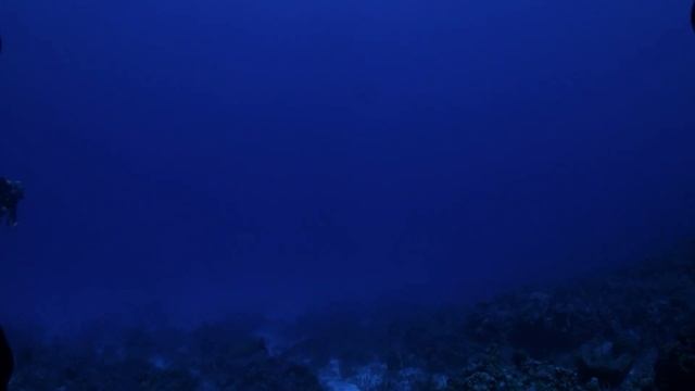 Grand Cayman Slideshow with Stills and Video смотреть онлайн