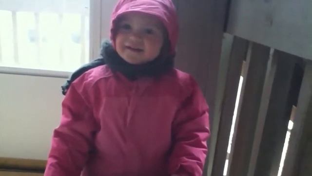 Лиля: Чтение книги смотреть онлайн