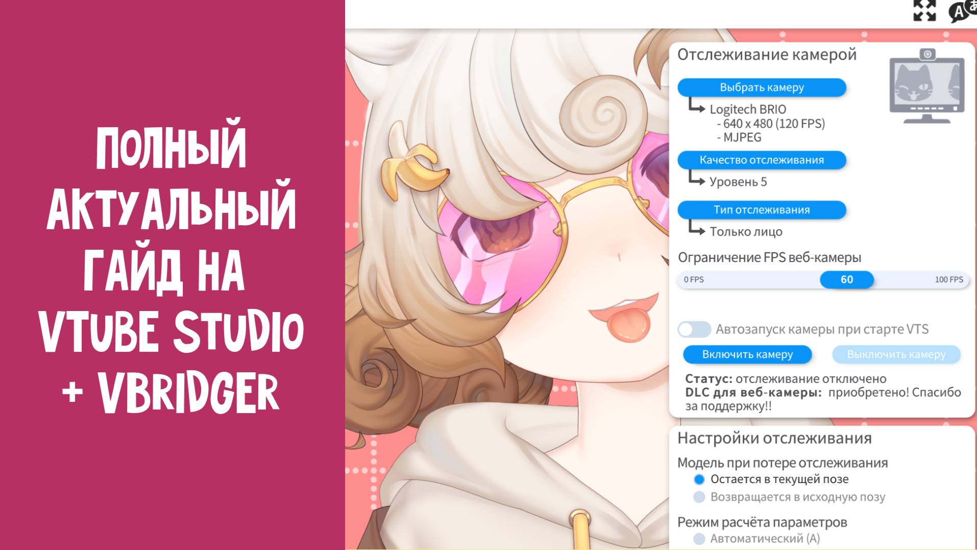 Полный актуальный гайд на VTube Studio на 2025 год + VBriger и сравнение видов отслеживания смотреть онлайн