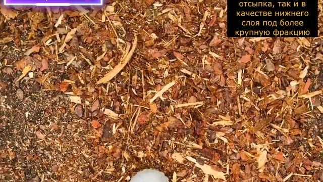 Кора сосны 0-3 см смотреть онлайн