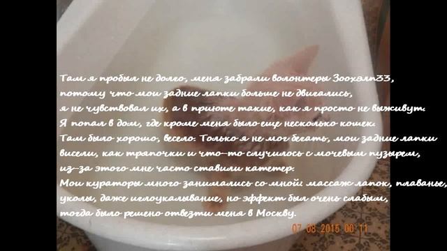 Заметки волонтера. ПЕРСЕЙ 🌈 смотреть онлайн