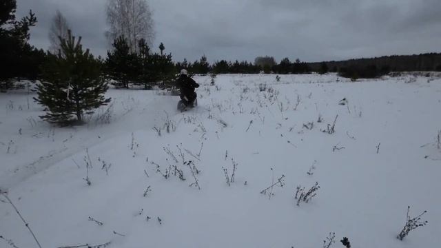 9 января 2024 г.