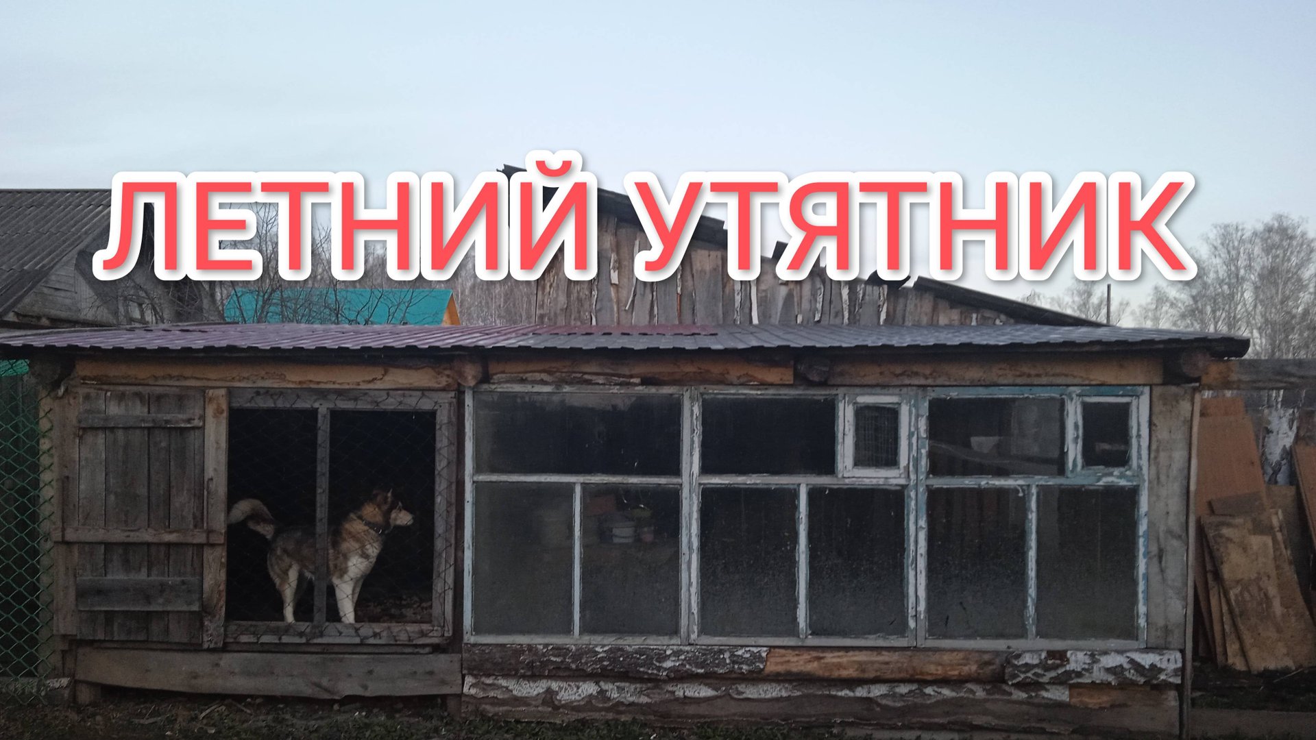 Как подготовить летний утятник для утят смотреть онлайн