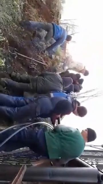 10 человек vs маньчжурский орех!!! смотреть онлайн