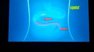 Детский анонс и реклама 05 10 2016