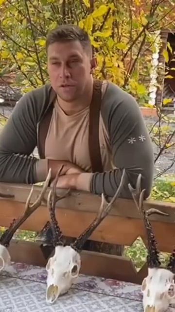 Трофейная охота на сибирскую косулю в Курганской области в хозяйствах фонда САПСАН смотреть онлайн