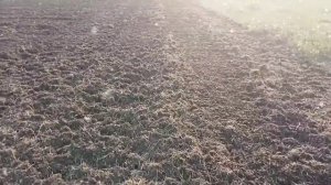 Первое испытание почвофрезы 1,GQN-220