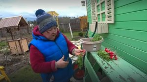 6 соток 4 мая 2021 год. Посадила перец. Хроника