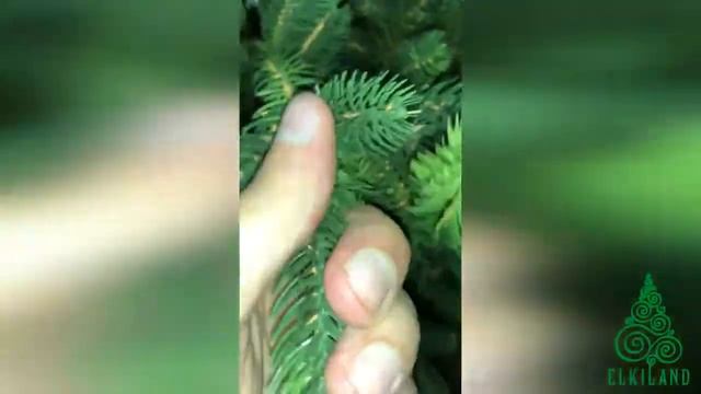 Искусственная Елка «Юстина» С07 1 смотреть онлайн