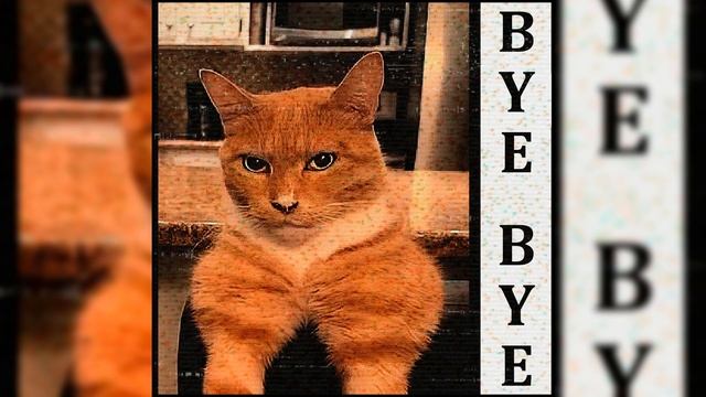 BYE BYE SONG | MEWING PHONK 🤫🧏♂ смотреть онлайн