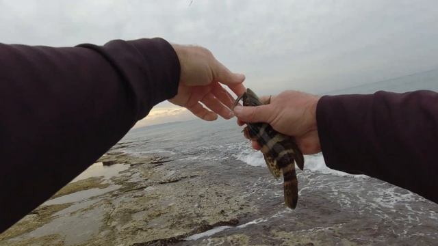 4K חוף שבי ציון דיג fishing рыбалка пляж Швэй Цион смотреть онлайн