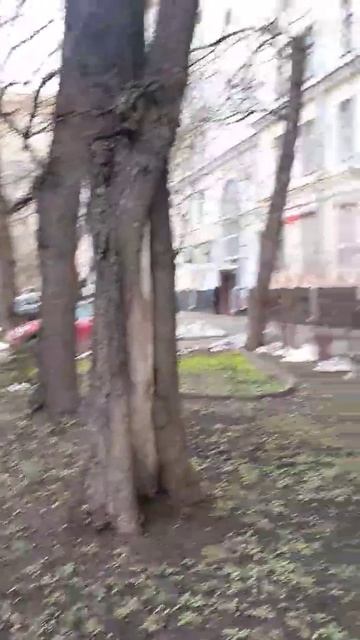 Конкурс | Бренд креативных и редких подарков для близких @dudozavr