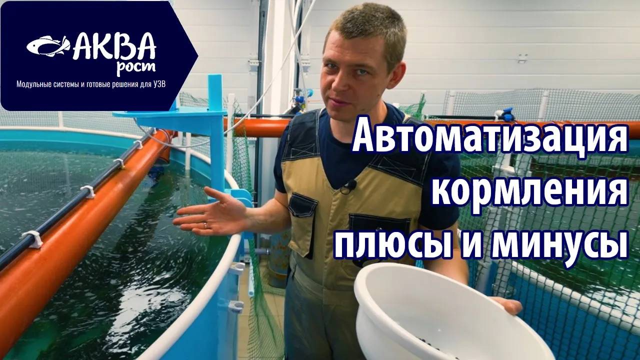 Как автоматизировать процесс кормления в рыбы в УЗВ смотреть онлайн