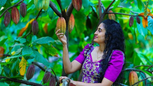 Homemade Cocoa Powder 🍫 Chocolate Moist Cakes, Honey Cones & More Delicious Sri Lankan Sweets.