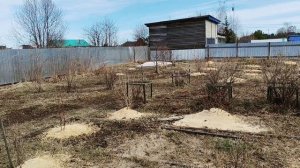 У НАС СУББОТНИК.. РАССАДА.