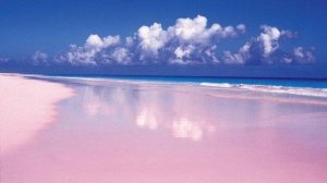 44-Багамы: ф.1 ч.5 Розовый песок