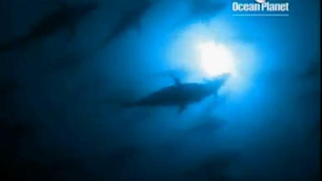 NAUTILUS OCEAN PLANET 45 RE EDIT смотреть онлайн