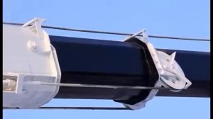 Автокран 32 тонны КС-55733 Челябинец