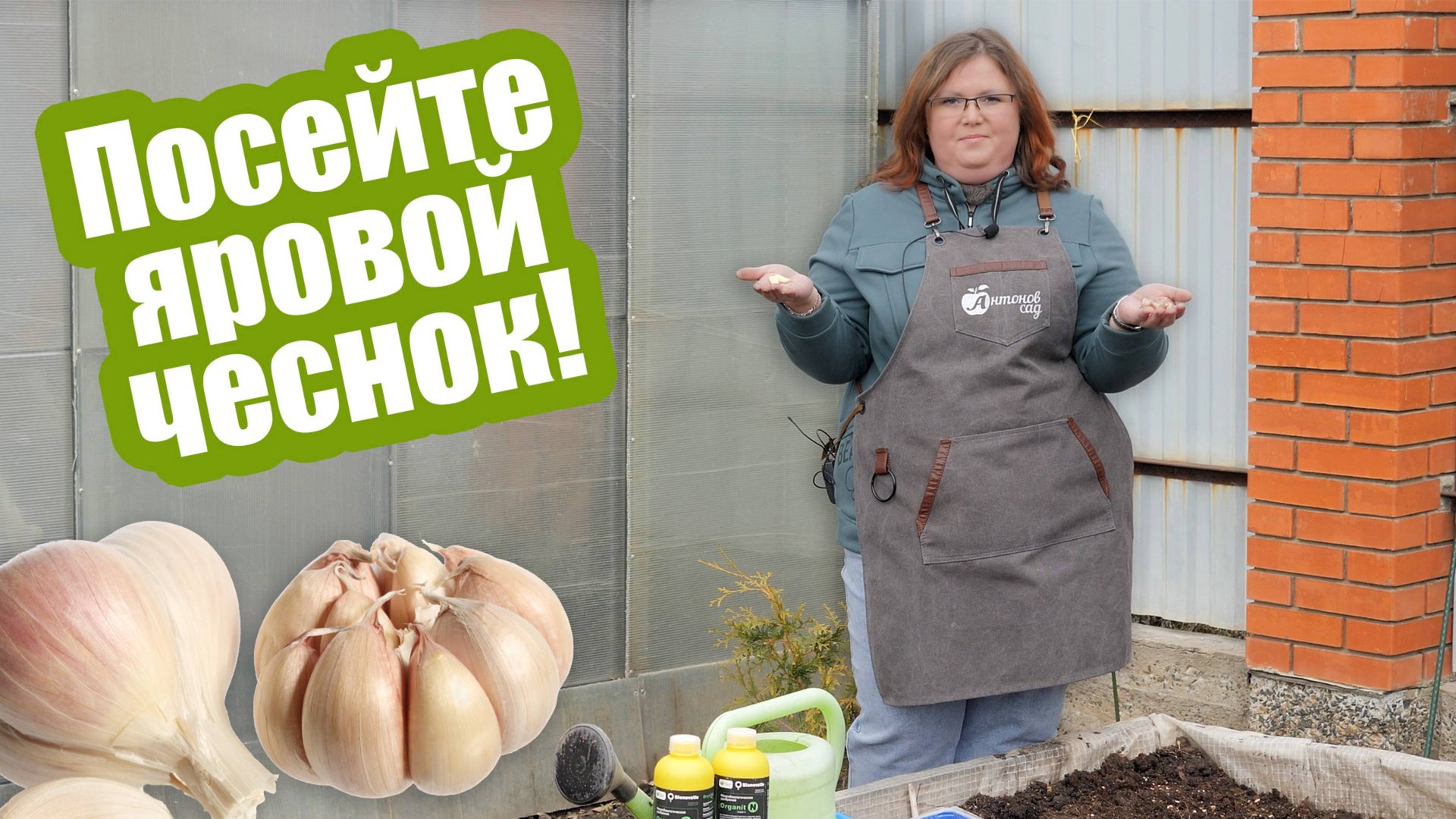 Сажаем ЧЕСНОК ВЕСНОЙ! Как подготовить грядку и когда сеять яровой чеснок смотреть онлайн