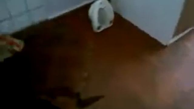 2-а часть.mp4 смотреть онлайн