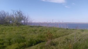 VID_20250414_164231.mp4