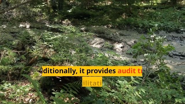 Maximize Your Revenue with Netsuite Revenue Management | A Complete Guide смотреть онлайн