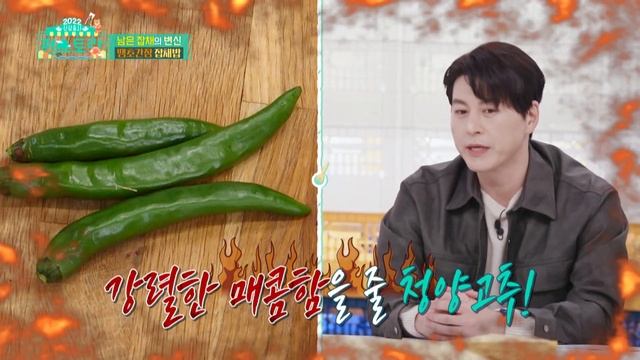 The spicy soy sauce is complete (Stars' Top Recipe at Fun-Staurant EP.113-8) | KBS WORLD TV 220228 смотреть онлайн