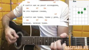Как играть Земляне - ТРАВА У ДОМА на простых аккордах. Разбор на гитаре