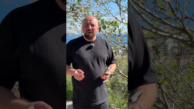 Понедельник Страстной недели. Проклятие смоковницы. смотреть онлайн