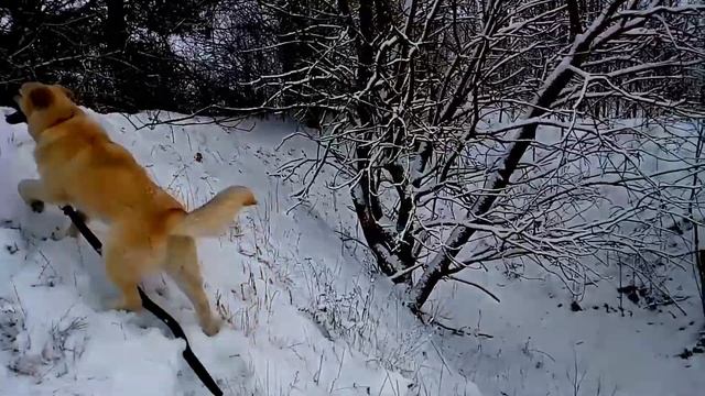 Спуск с горы Эверест #1 смотреть онлайн