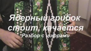 Ядерный грибок, под голубой вагон. (015 гармонь с цифрами)