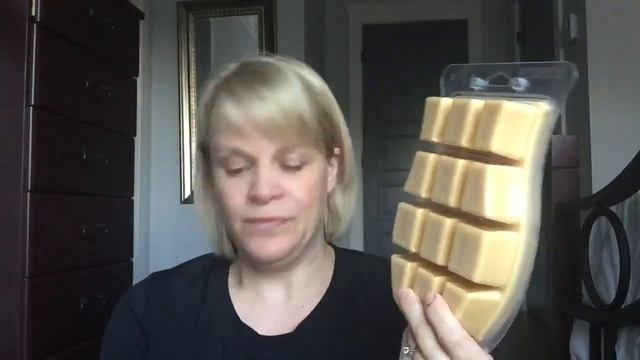 Nov Scentsy Haul...Which Means Holiday BRICKS! Plus Some NEWS! смотреть онлайн