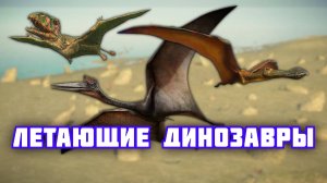 Птерозавры | Летающие динозавры | Видео про динозавров
