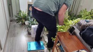 Взвешиваю арбуз дома