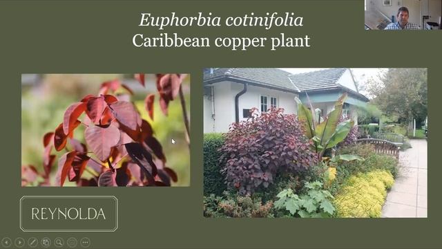 Spring Plant Sale 2022 Preview смотреть онлайн