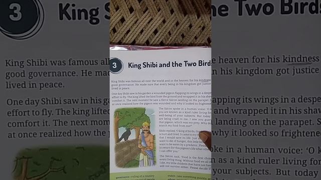 King shibi смотреть онлайн