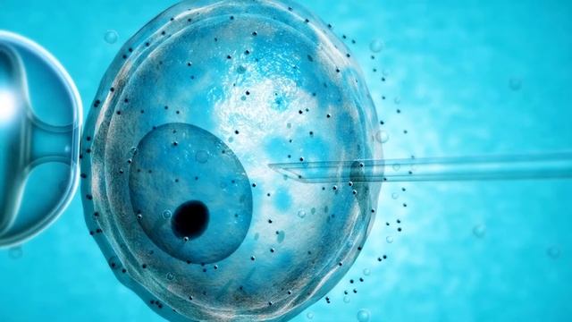 First Ever CRISPR Trials To Treat Blindness In The United States смотреть онлайн
