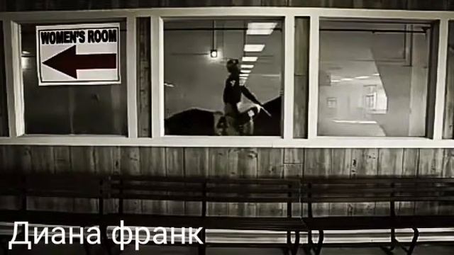 Красивый клип про лошадей смотреть онлайн