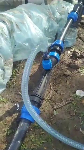 витамины на клубнику. клери куршаб смотреть онлайн