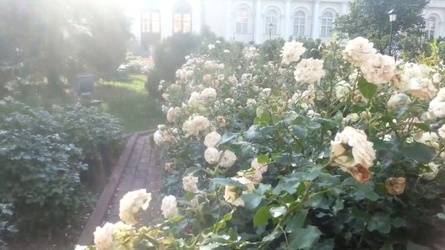 В Александровском Саду. смотреть онлайн
