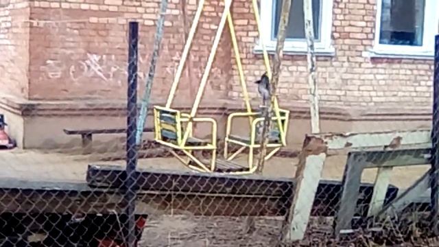 Ворона на качелях смотреть онлайн