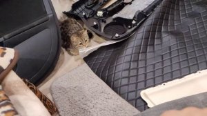 Мутим кожаную обшивку дверных карт. Как обшить дверную карту кожей? Как обшить кожей?